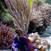 NorthCoast - Interesting Photos : This gallery has some interesting photos (almost in focus) from the past couple of years...